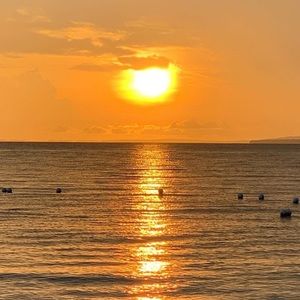 Meet your Posher, Mimi